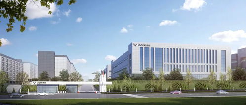 一把智能鎖，解鎖智能安防領(lǐng)域出海大市場(chǎng) 鹿客科技的技術(shù)創(chuàng)新與順為系賦能